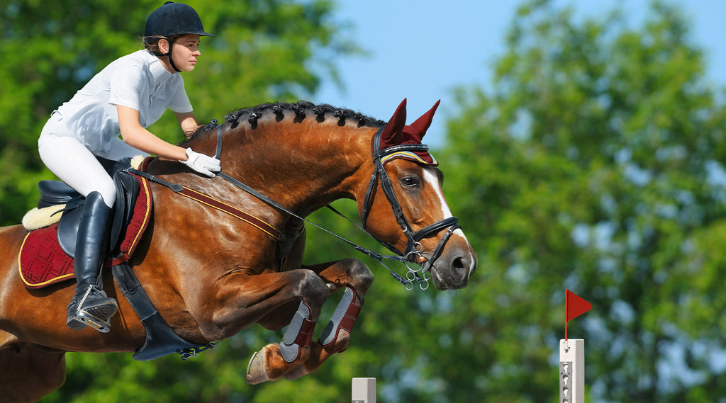 Using hook & loop in equestrian products